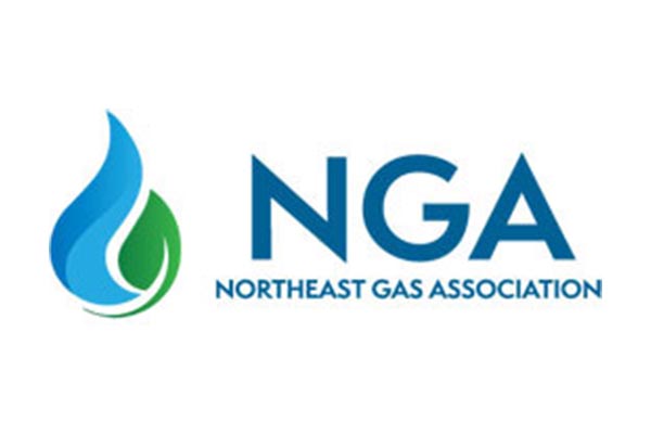 LogoSet_0003_nga_logo_new